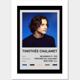 Timothée Chalamet Posters and Art